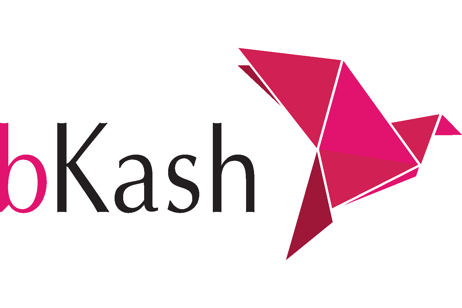 bKash logo